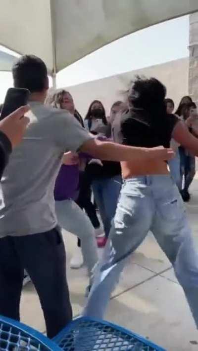 two girls fight in school