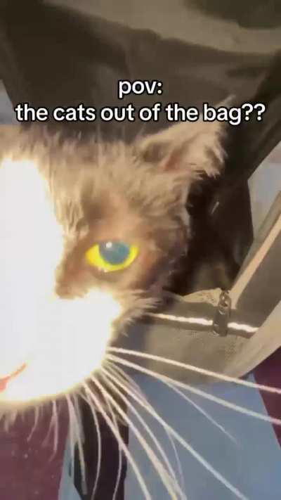 After reaching the top of the tower you come across The Horned One and his demonic familiar