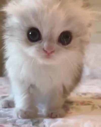 Precious little baby 😍