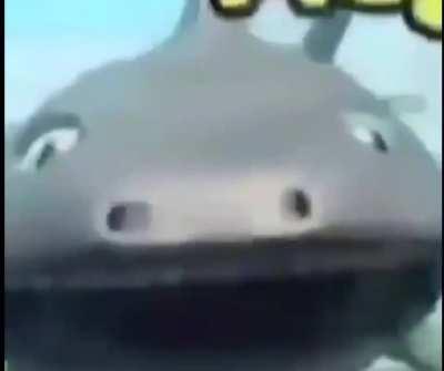 How do i find these videos?