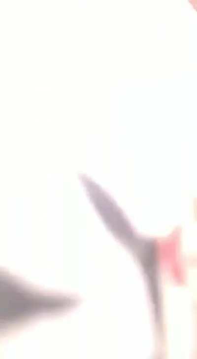 Things escalated real quickly