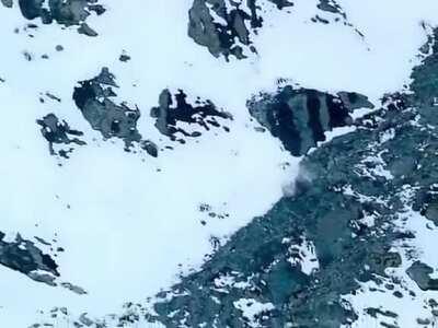 🔥 Absolutely savage. Snow leopard jumps off cliff into free fall to catch prey. 🔥