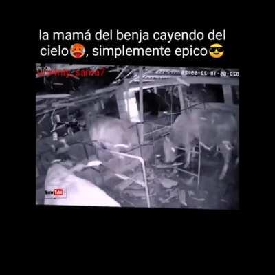 Simplemente epico😎.hecho por mi