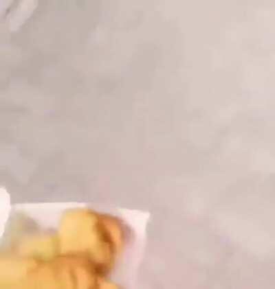 Giving nuggets to a dog