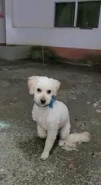 Lupita en su primer contacto con la nieve