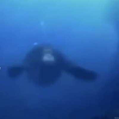 Tava indo pescar com meu pai no esgoto e olha oque eu encontro.