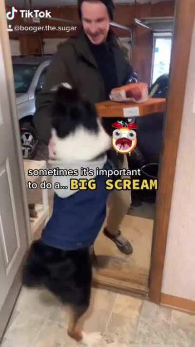 My dog screams at a lot of things.. including pizza 🍕😂