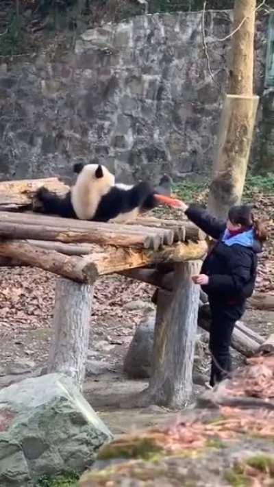 When you spend summer at grandma's