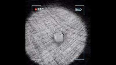 The skeleton appears