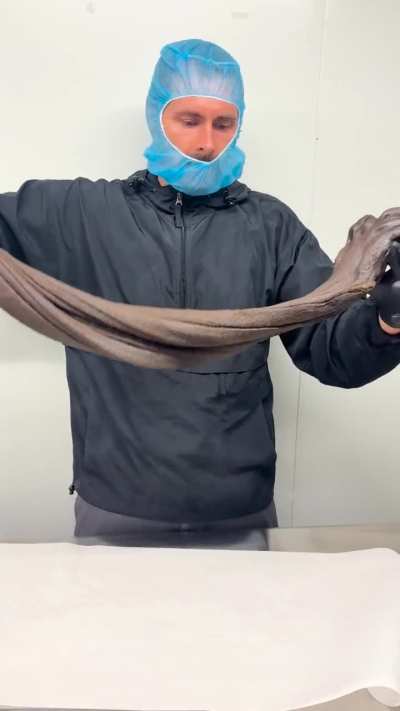 Hash ASMR!  HASMR?  hAShMR?!