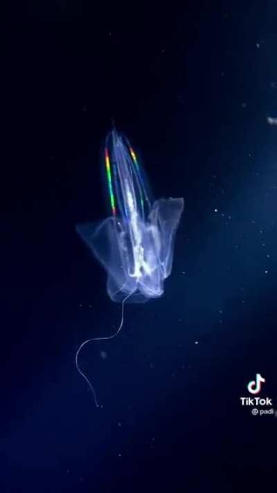 Why would you do this to yourself!!