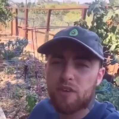 For anyone who needed to hear this today