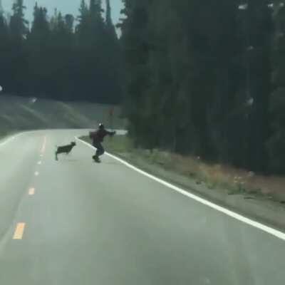 Deer tries to hit skateboarder.