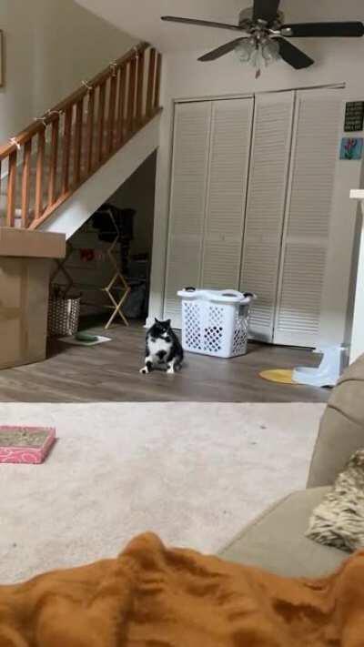 Those pesky fly-by greebles!