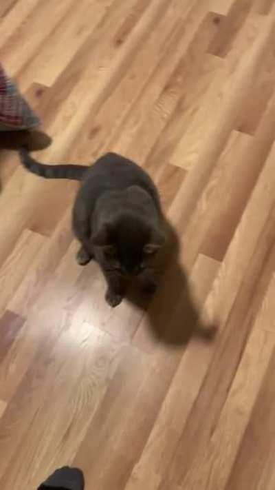 I don't think Bruce is enjoying me being home so much lately :/