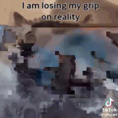 Gotta keep the content ratio on brainrot