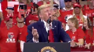 The lion watches the most beautiful beautiful he ever seen...