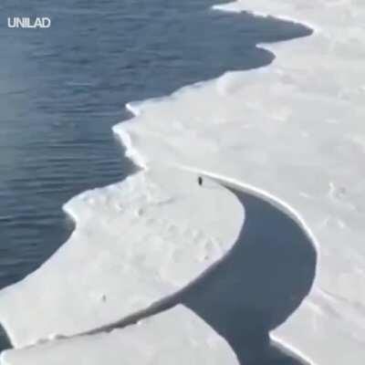 Penguin's version of Indiana Jones.