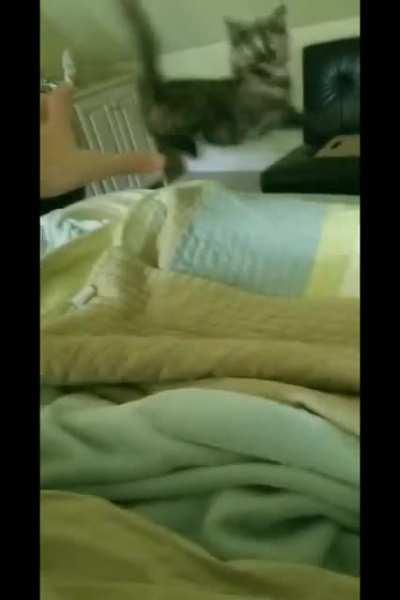 It’s over Catakin, I have the high ground!