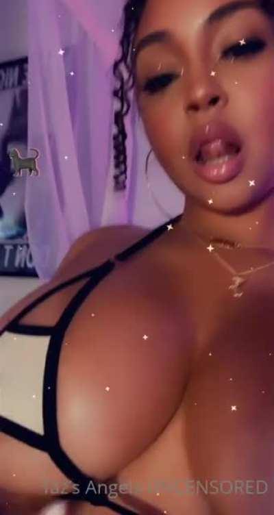 More Cat 😍😍😍