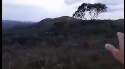 'PQP, quase me pegou'