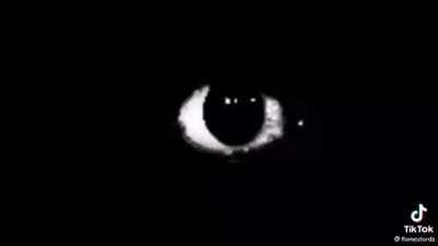 AAAAAAAAAAAAAAAAAAAAAAAAAAAAAAAAAAAAAAAAAAAAAI HAVE NO IDEA IF THIS WAS POSTED HERE ALREADY BUT FUCK IT!