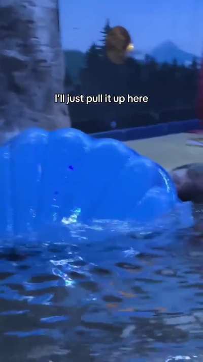 Just Chilling in the Pool (Credit to National SEA LIFE Centre Birmingham on YouTube)