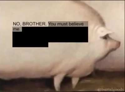 we gotta make this subreddit alive again