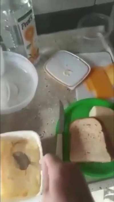 Espero que tenham aprendido