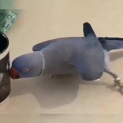 Strange reaction to the photo on the cup