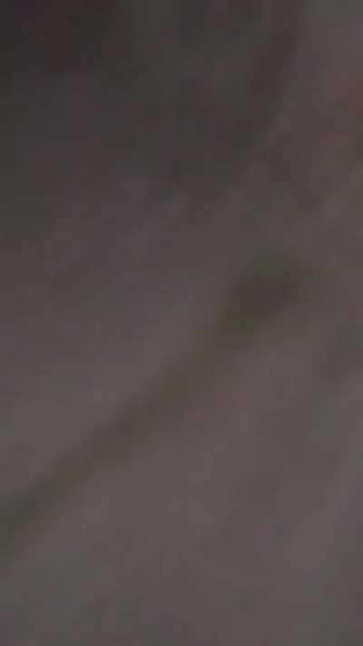 Tarr tarr tar🐸🐸