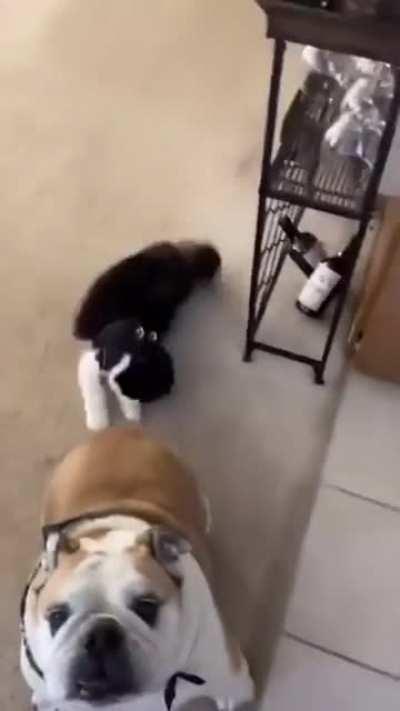 DeMOn GeTS ELeCTRiFiED By aN anciEnT rItUAl FOR the diSTrUction oF mANKiND