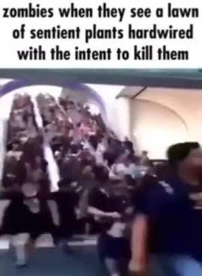 hi, new meme just dropped