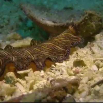 I'm doing the Lord's work by GOING TO WEEK 7