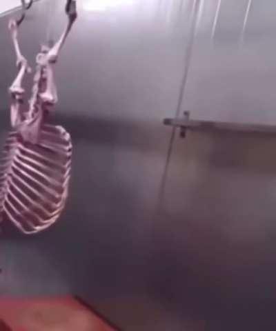 Found this video in my apprentices orb.