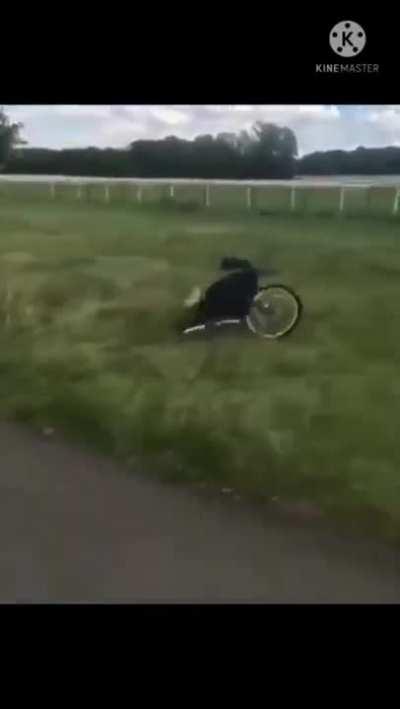 cycle yatra to canada 