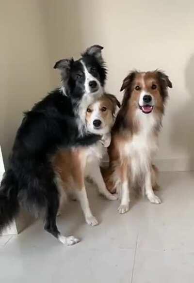 Digs gathering up for a photo