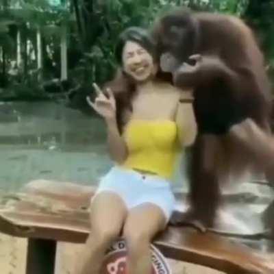 Ella e mi reina (no sale nada ban)