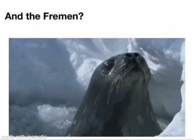 And the Fremen?
