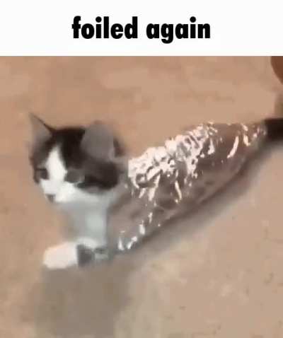 mxzklzppcncndnwnsnamcjjc