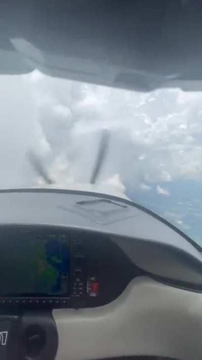 They rescued them all!