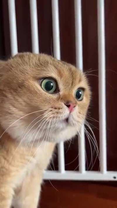 They’re coming.. It’s too late..