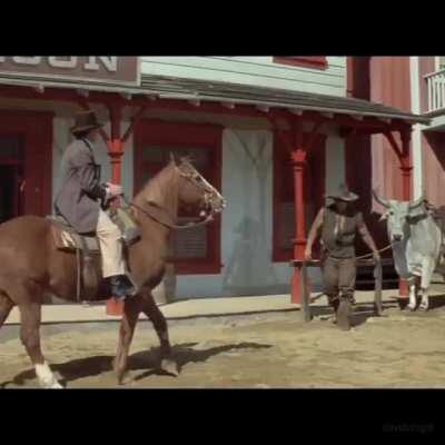 Ill show you illegal