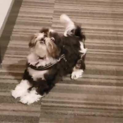 Open the door already!