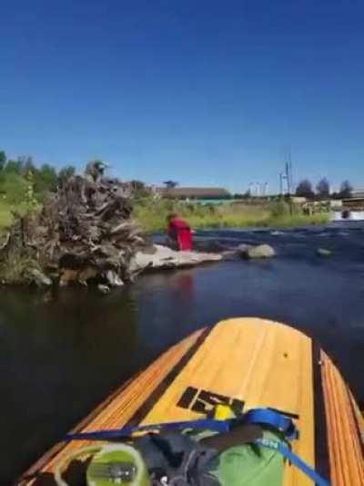 My younger cousin having fun with a bird