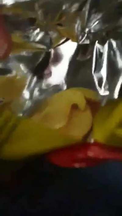 The chips in an Air Serbia flight