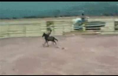 Off a horse