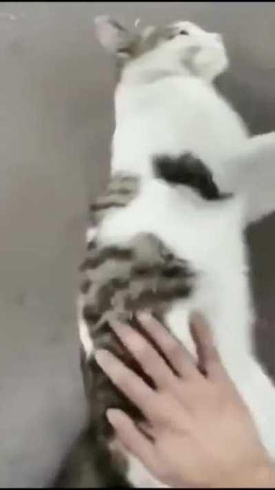 Insurance fraud is everywhere, always use a dash cam.