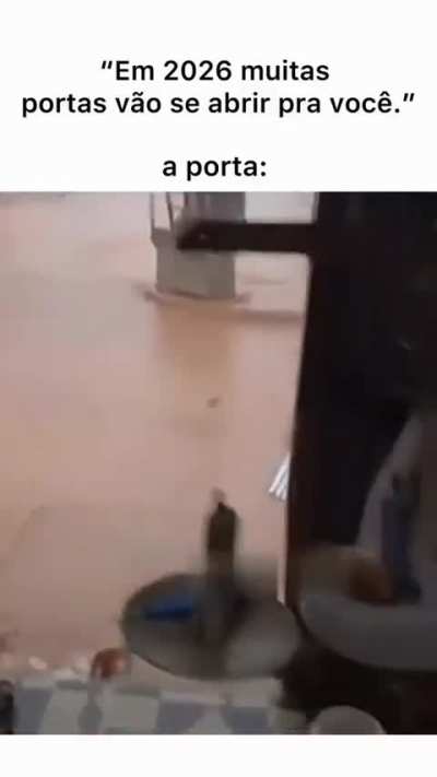 Só sucesso