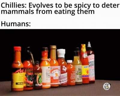 That's some gourmet shit